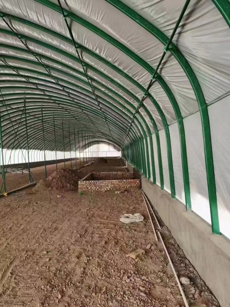 新型养殖大棚，椭圆管镀锌包塑骨架养牛，养羊大棚