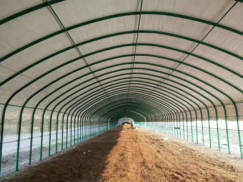 新型养殖大棚，椭圆管镀锌包塑骨架养牛，养羊大棚