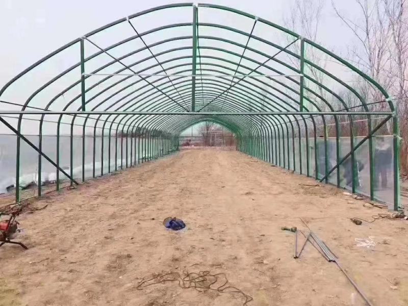 新型养殖大棚，椭圆管镀锌包塑骨架养牛，养羊大棚