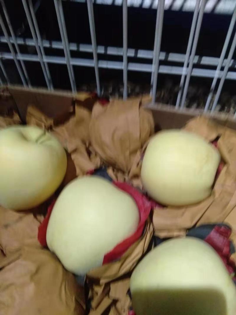 黄元帅精品货，保鲜，果把是绿的，量不多了，欲购从速。