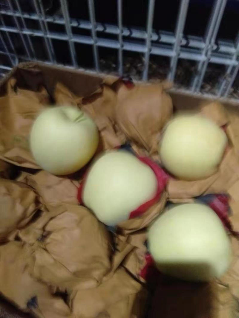 黄元帅精品货，保鲜，果把是绿的，量不多了，欲购从速。
