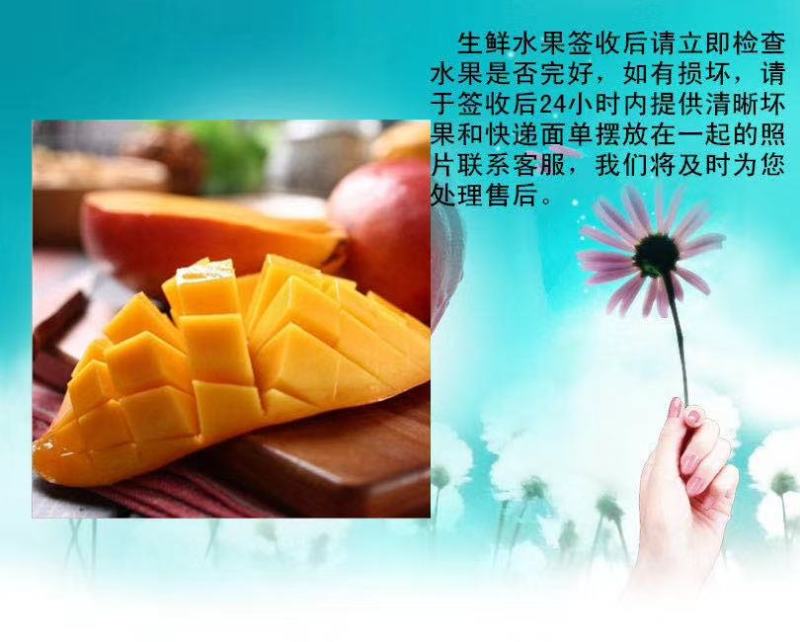 2021贵妃芒熟果～三亚