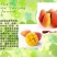 2021贵妃芒熟果～三亚