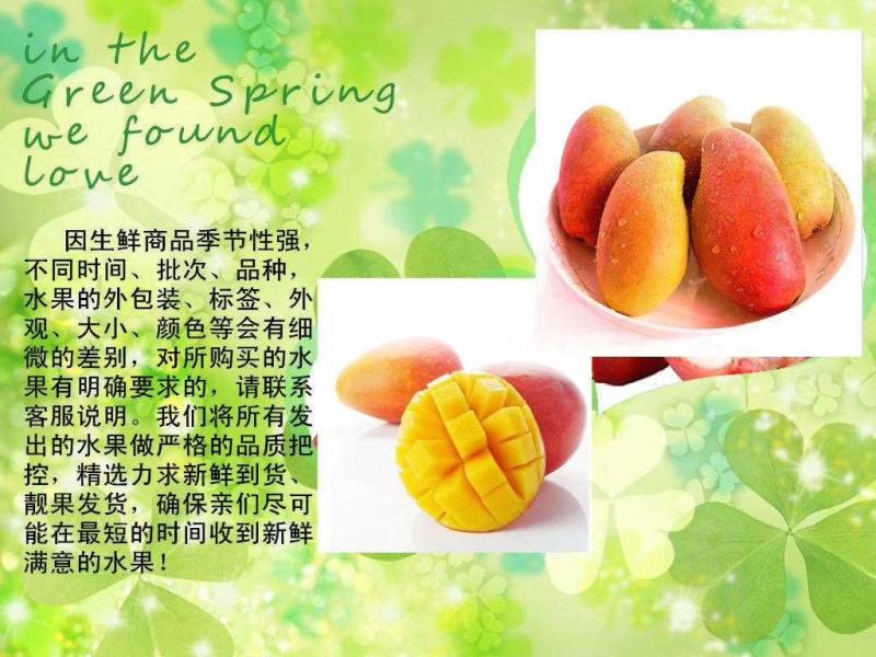 2021贵妃芒熟果～三亚
