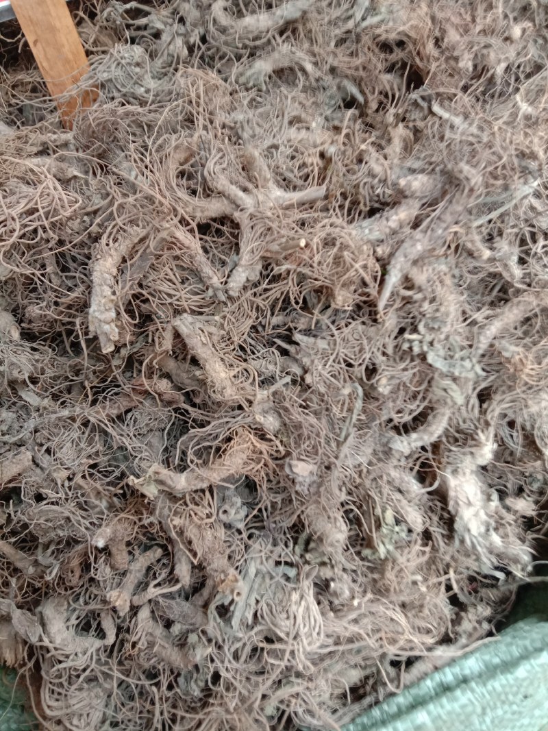 地胆头中药材地胆头