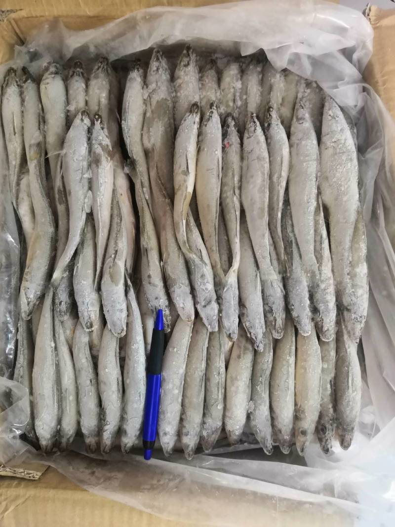 深海船冻沙丁鱼，生煎油炸都好吃，吃饭喝酒的回味菜。