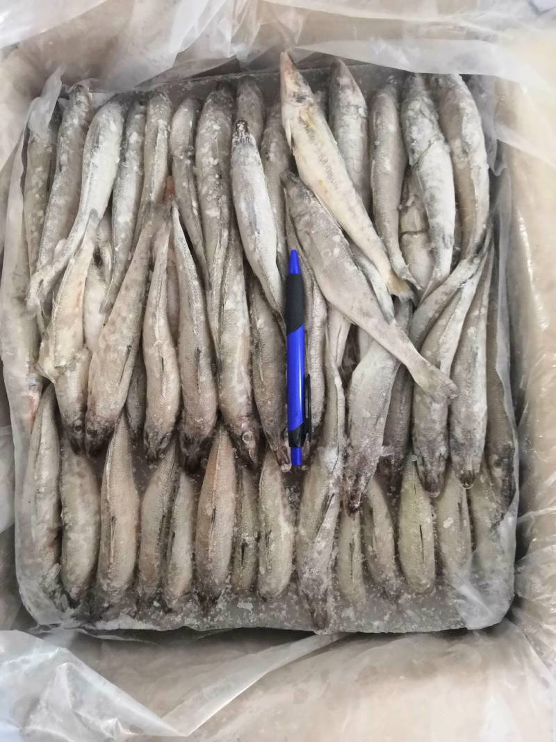 深海船冻沙丁鱼，生煎油炸都好吃，吃饭喝酒的回味菜。