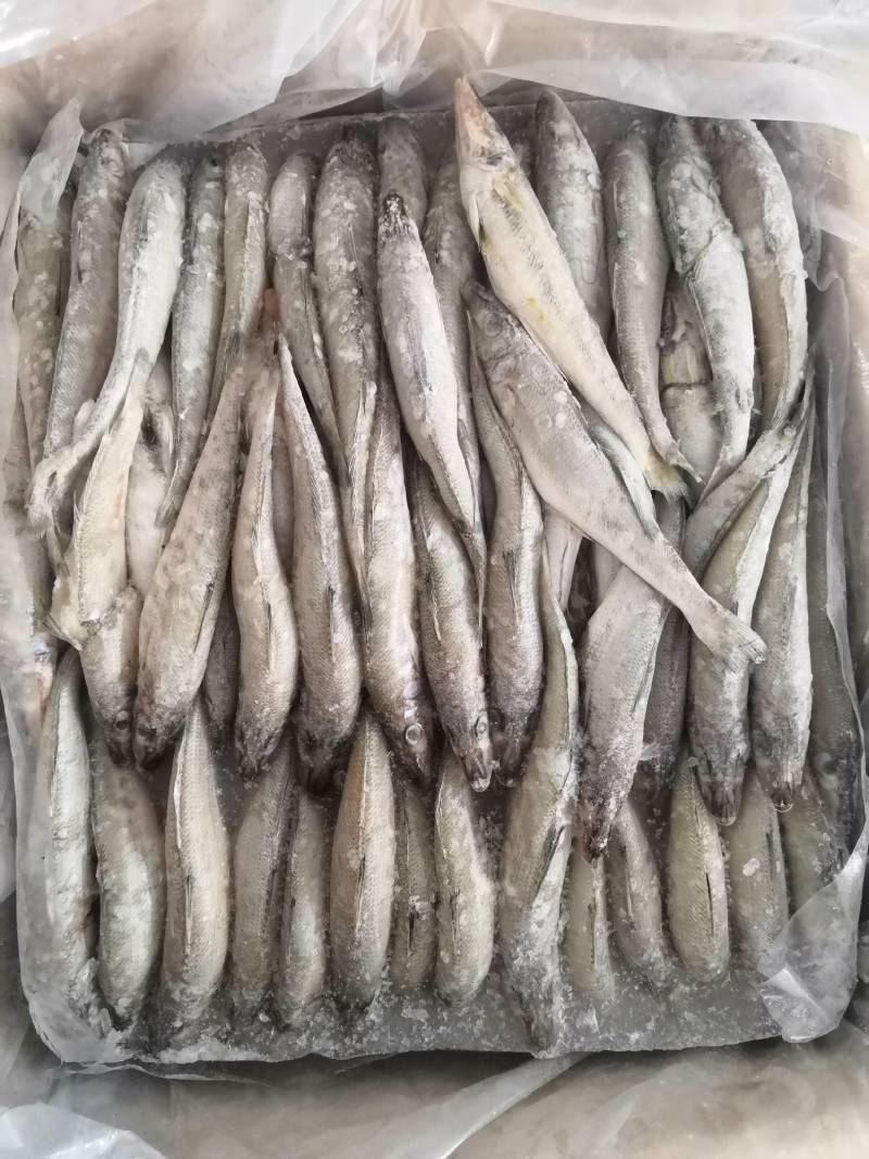 深海船冻沙丁鱼，生煎油炸都好吃，吃饭喝酒的回味菜。