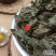 云南中药材紫苏叶，苏杆。紫苏叶500克包邮