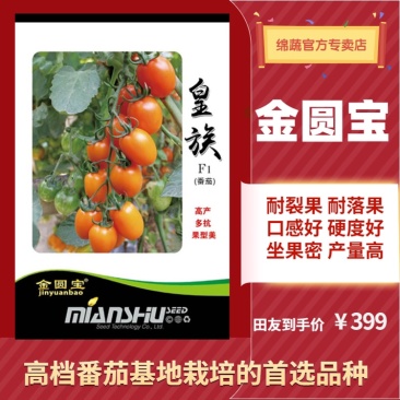 金圆宝皇族/番茄种子/西红柿种子/蔬菜种子/绵蔬种业