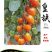 金圆宝皇族/番茄种子/西红柿种子/蔬菜种子/绵蔬种业