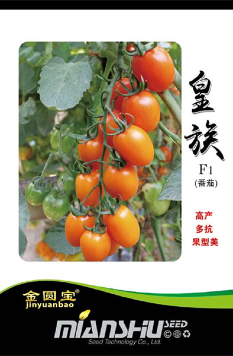金圆宝皇族/番茄种子/西红柿种子/蔬菜种子/绵蔬种业
