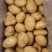 丽署6号土豆，淀粉厂加工，每天供应200吨