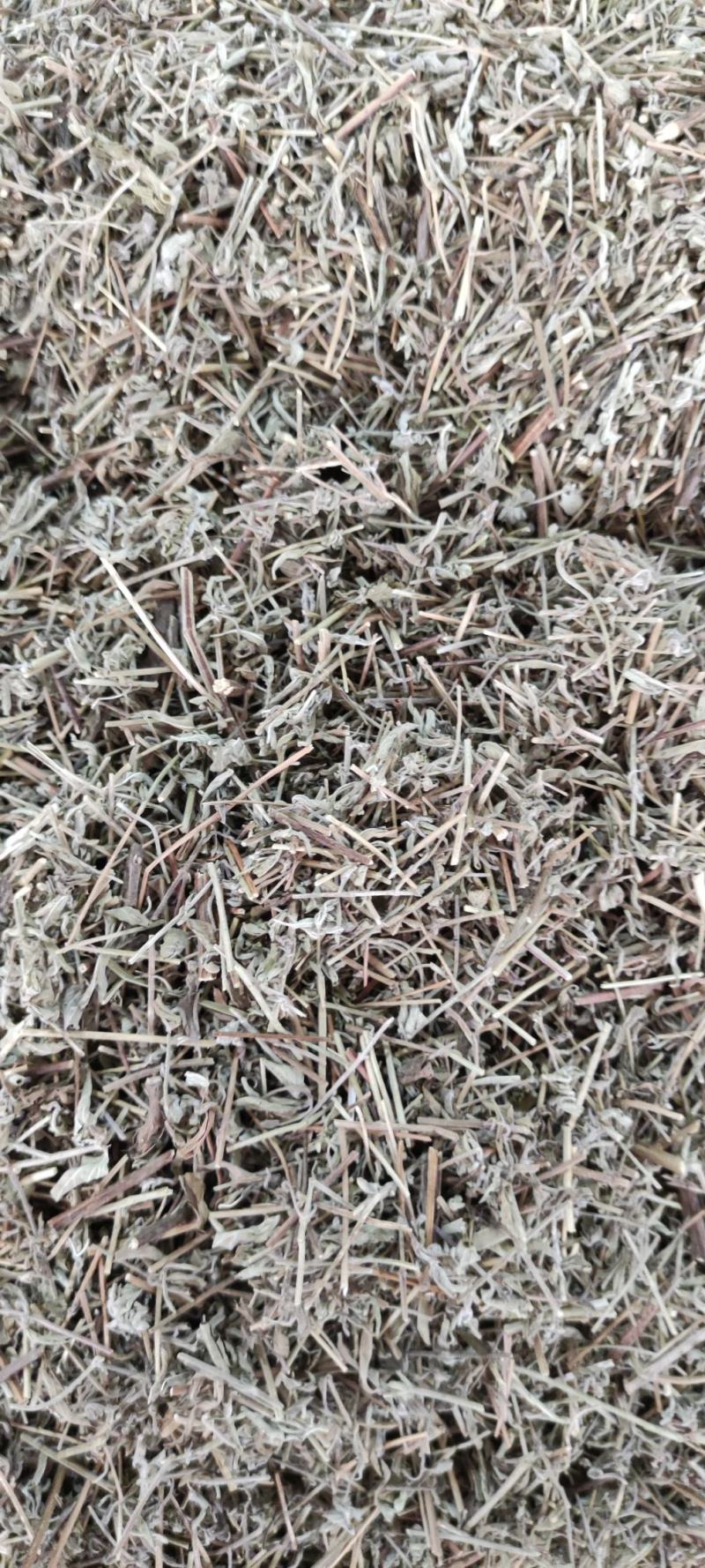 香薷草～新货~涨价中～量大优惠~一公斤起售~