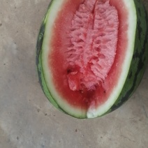 甜王