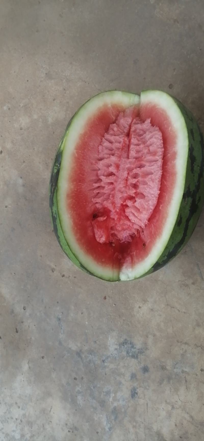 甜王