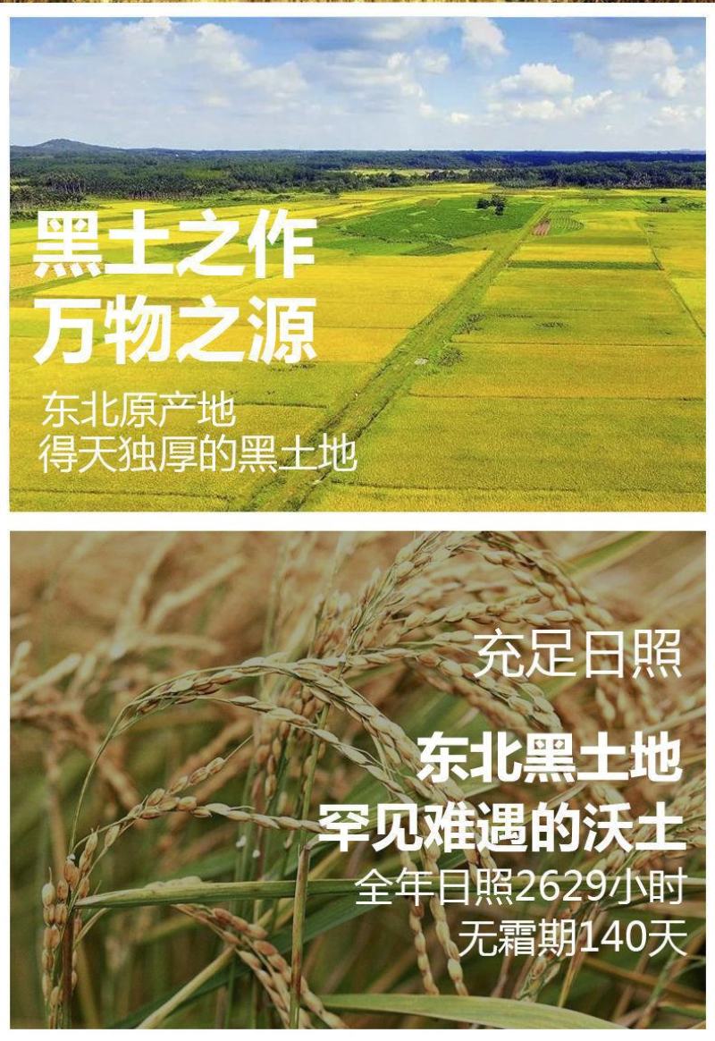 【产地】2022年新米五常大米香米长粒香东北大米包邮