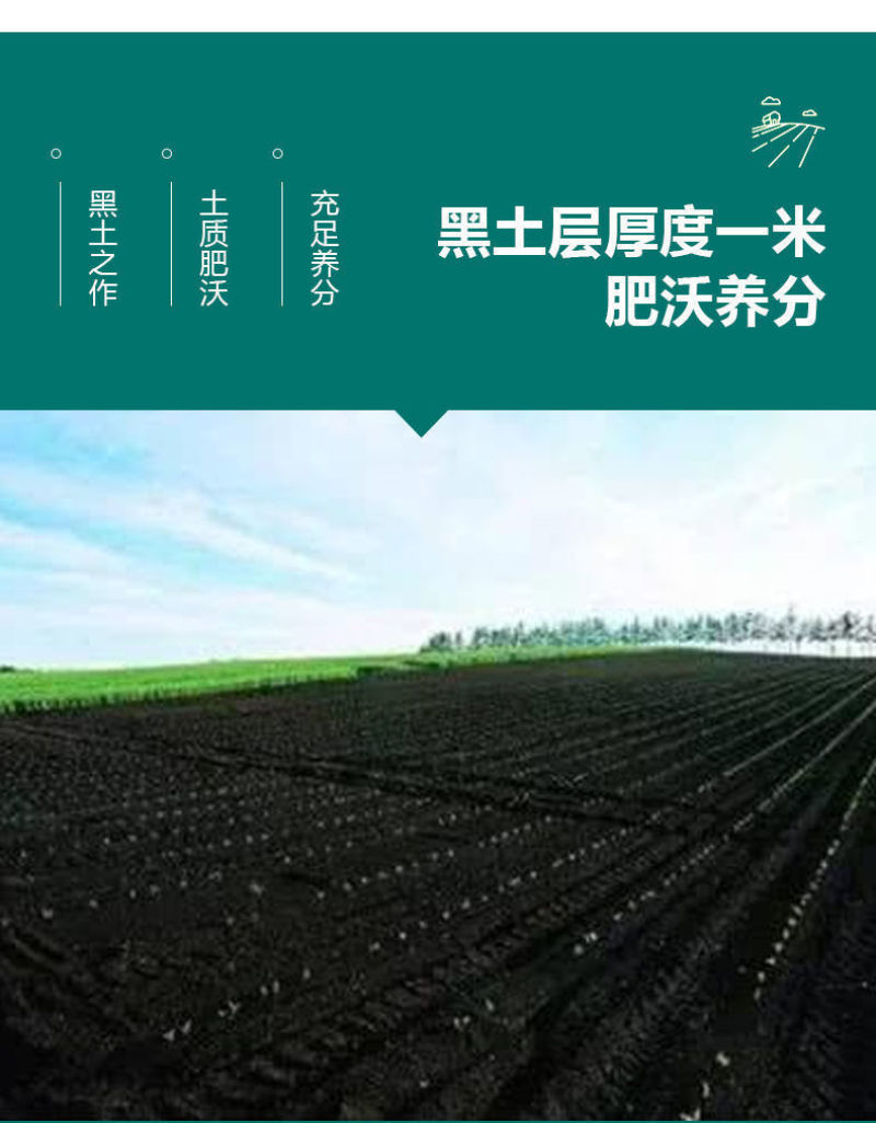 【产地】2022年新米五常大米香米长粒香东北大米包邮