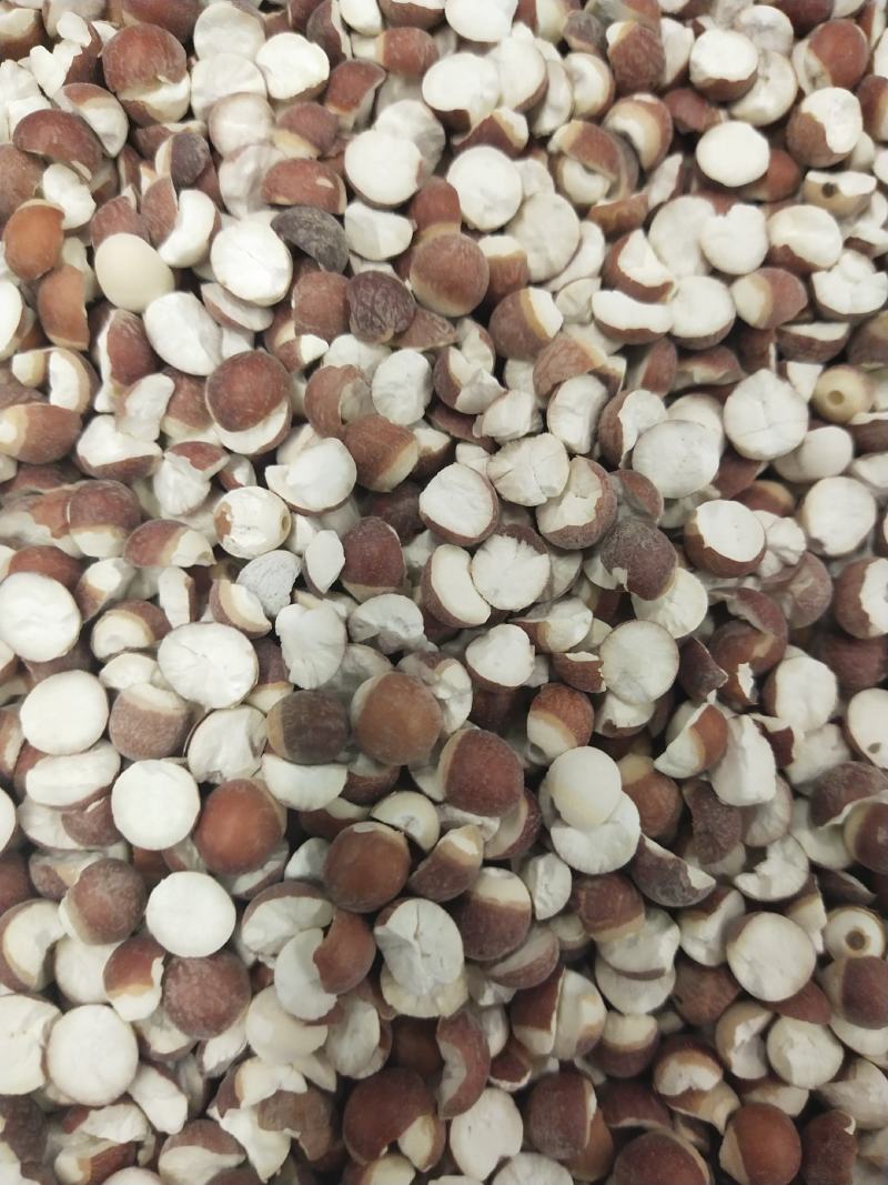 芡实，各种规格芡实，芡实米，芡实个芡实大大货供应