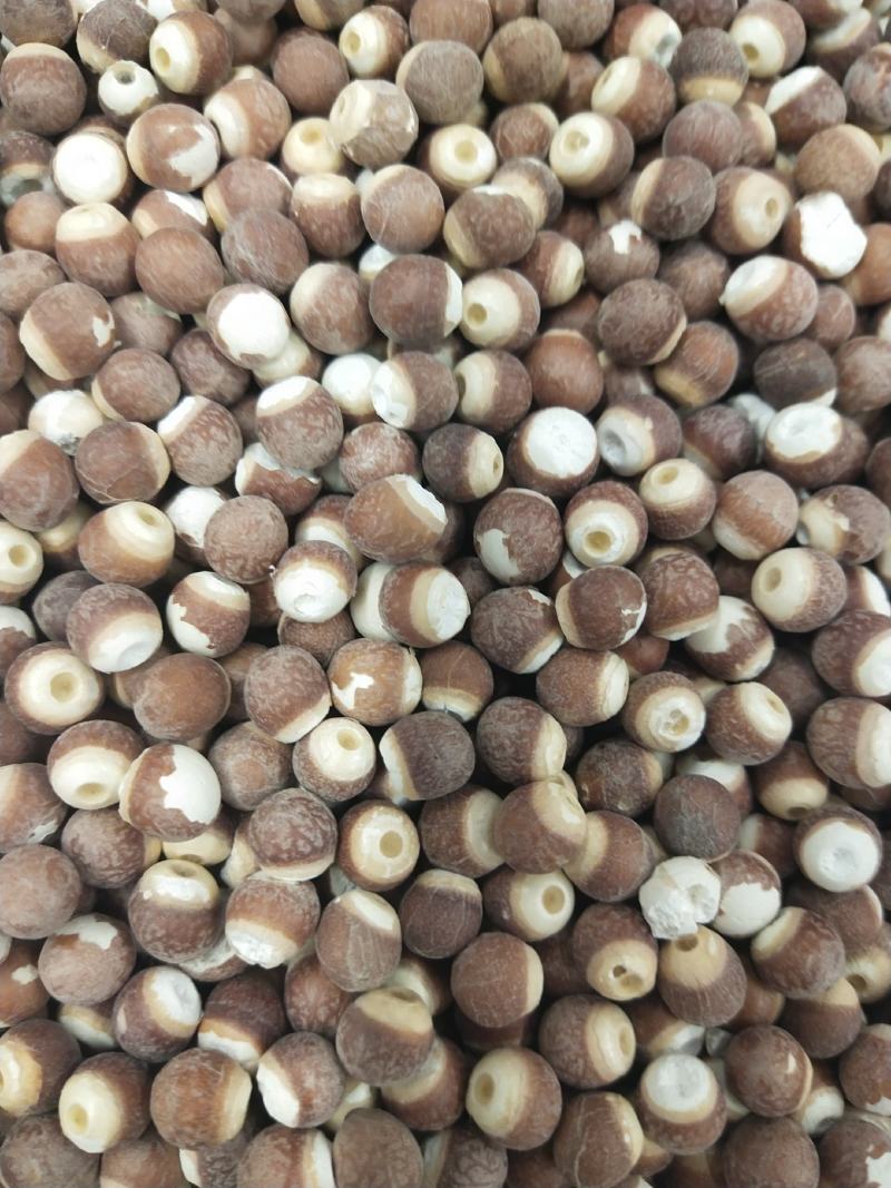 芡实，各种规格芡实，芡实米，芡实个芡实大大货供应