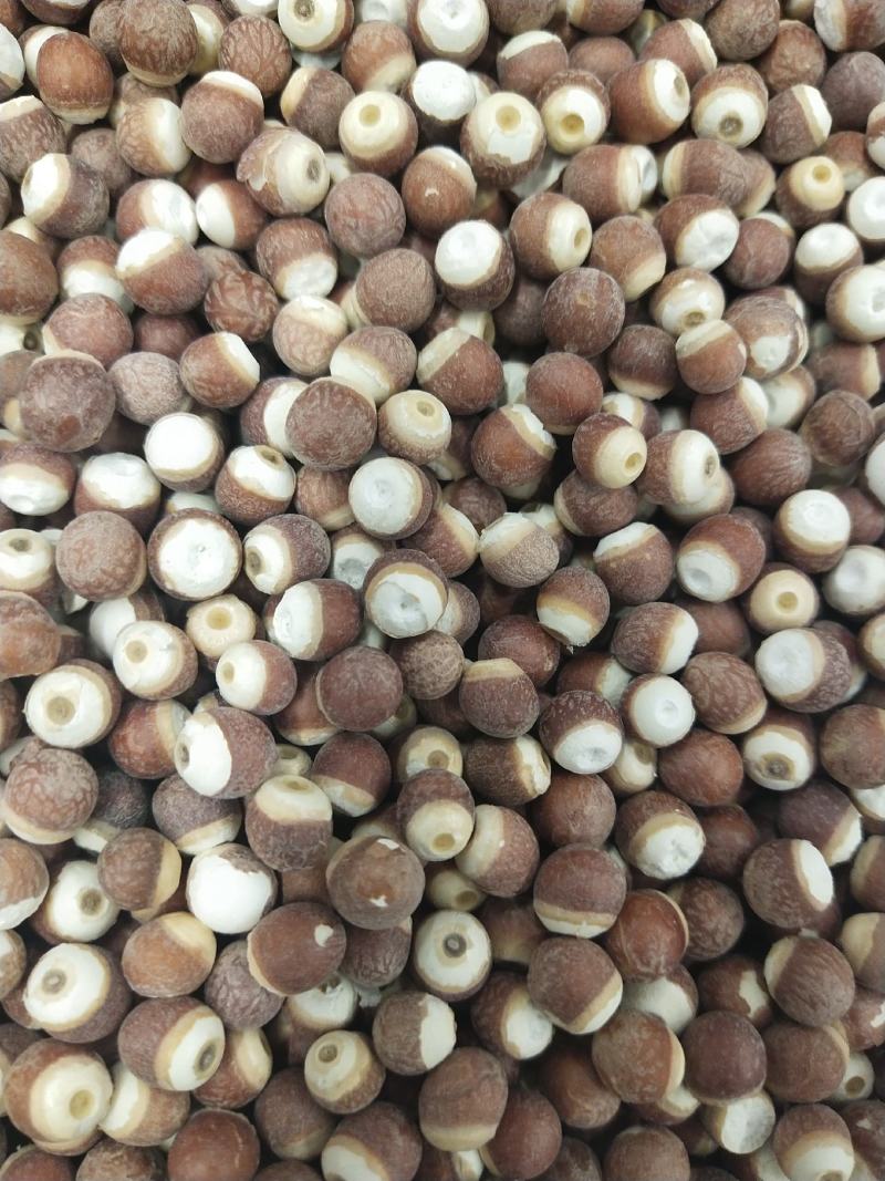 芡实，各种规格芡实，芡实米，芡实个芡实大大货供应