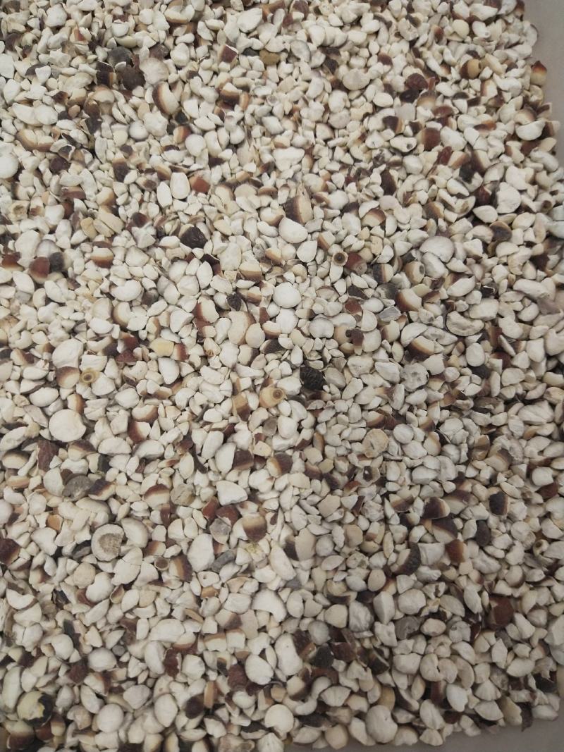 芡实，各种规格芡实，芡实米，芡实个芡实大大货供应
