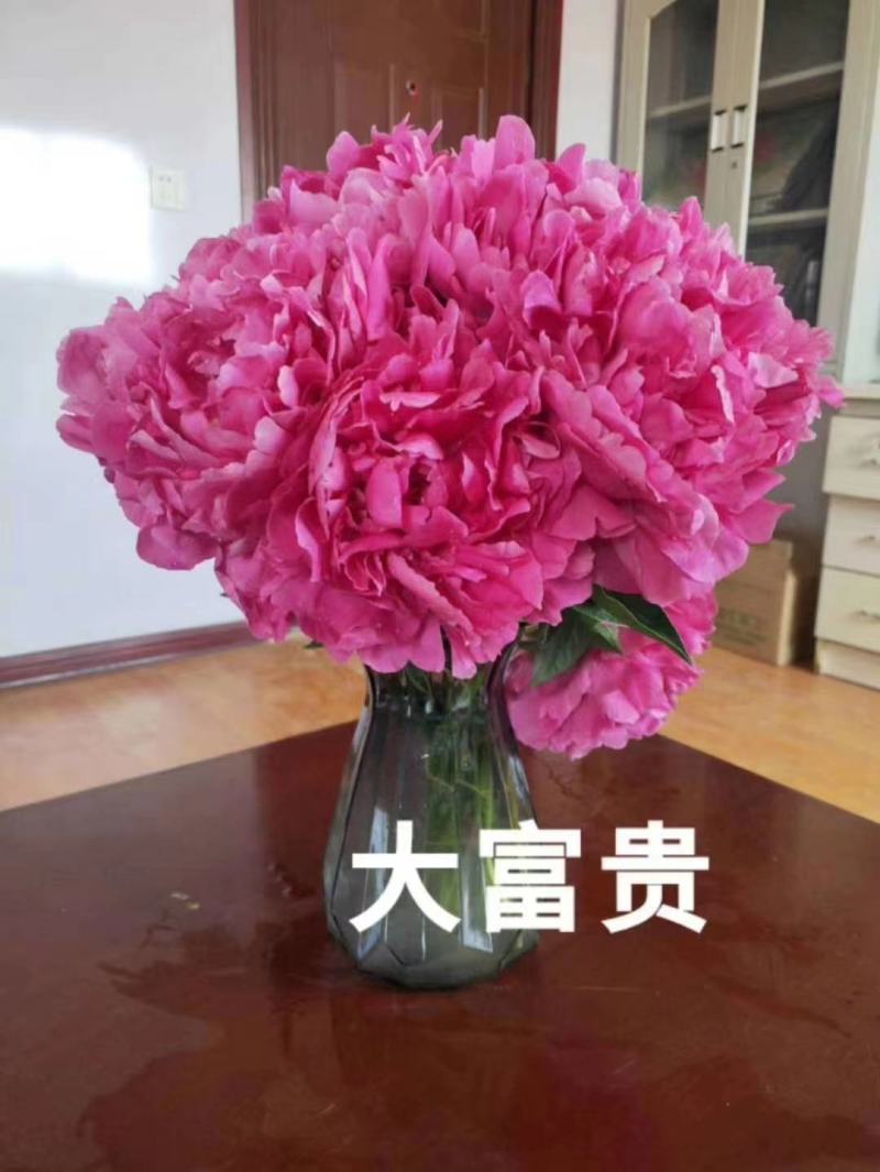 芍药鲜切花，精品重瓣千层鲜切花，山东基地大量出售，价格低