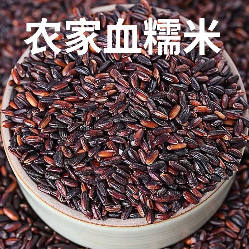 【产地直】血糯米农家黑糯米紫米粽子原料五谷杂粗粮粥