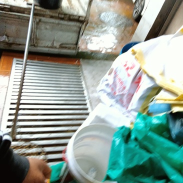 生态鲶鱼
