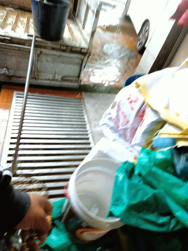 生态鲶鱼