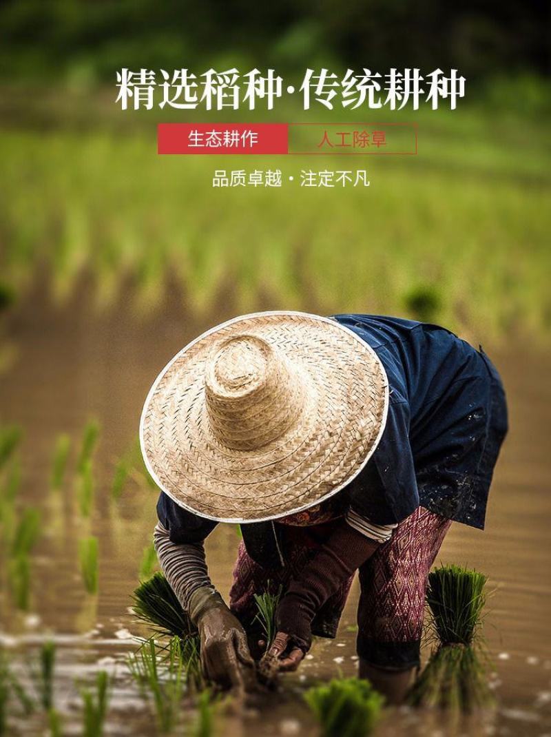 【2022新米】五常长粒香米20斤东北农家长粒大米包邮