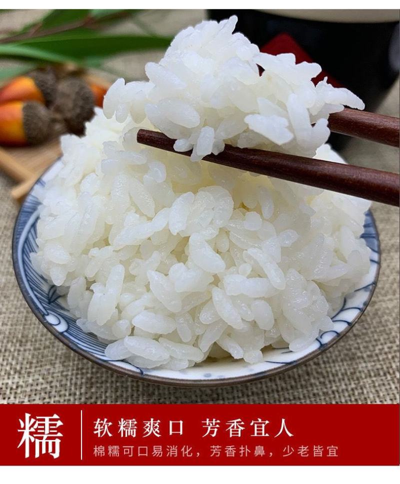 崇明大米南粳9108粳米10kg软饭王香米软香米5055