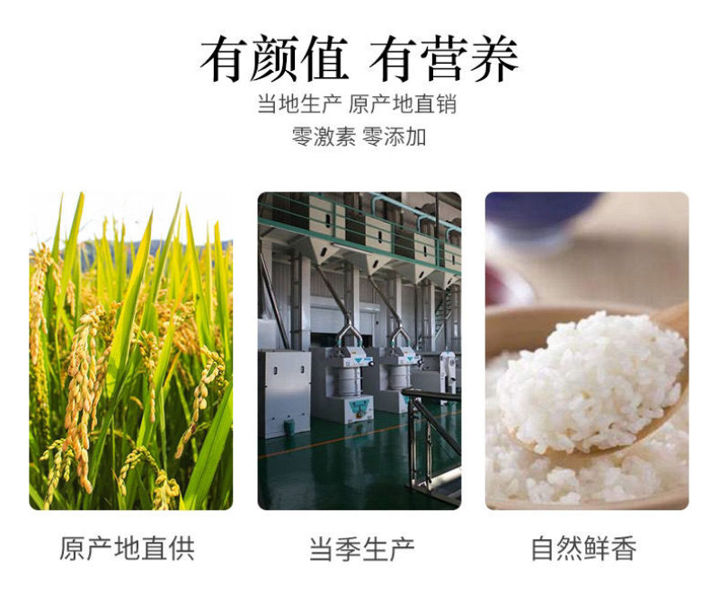 崇明大米南粳9108粳米10kg软饭王香米软香米5055