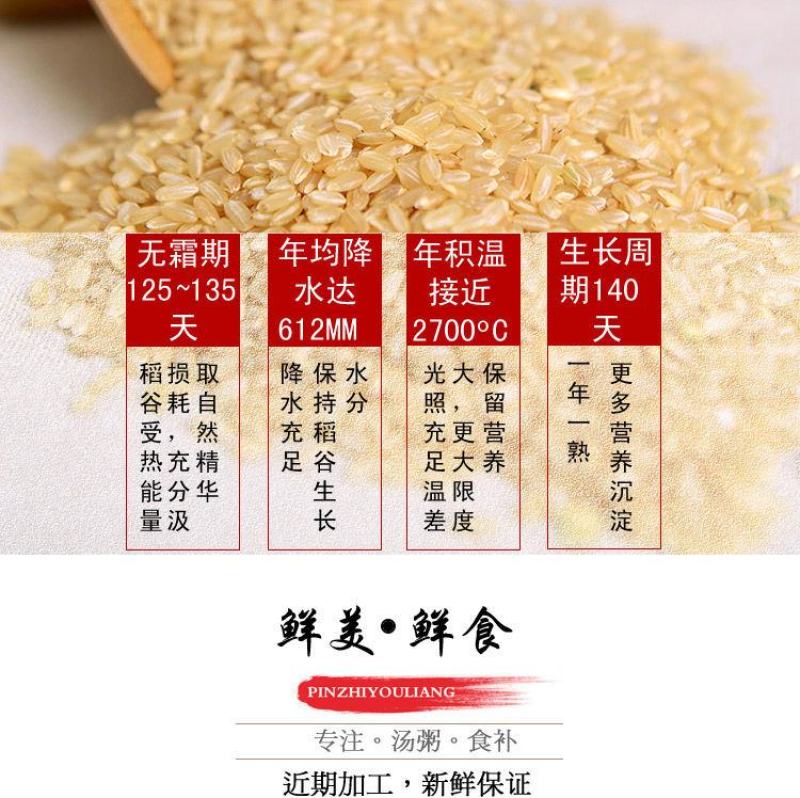 糙米杂粮米粗粮胚芽糙米饭五谷杂粮饭健身餐糟米东北糙米包邮