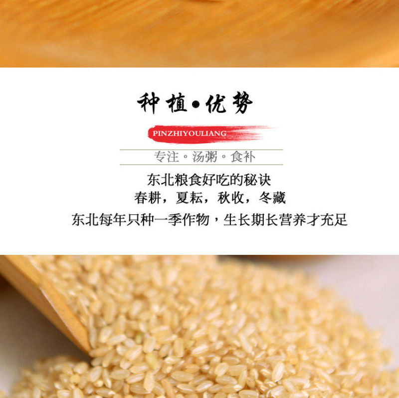 糙米杂粮米粗粮胚芽糙米饭五谷杂粮饭健身餐糟米东北糙米包邮
