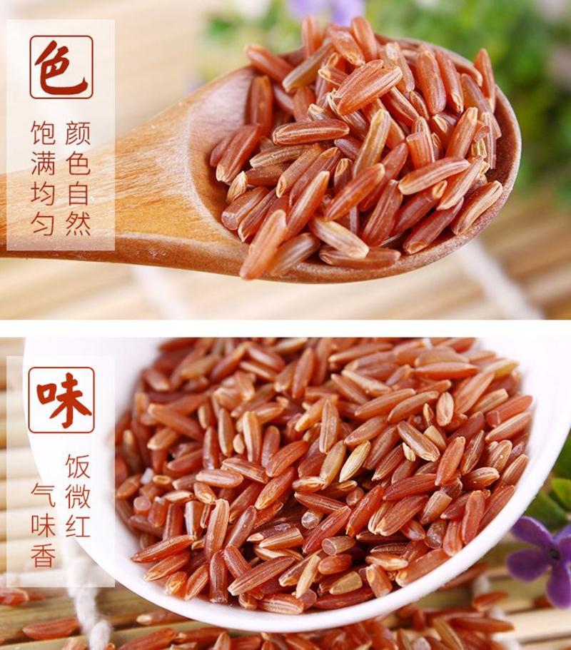 红米东北五常农家自产新米红粳米红血稻糙米五谷杂粮包邮