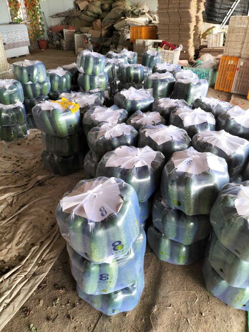 山东省潍坊市青州市小冬瓜，质量很好，价格实惠，外观好看。