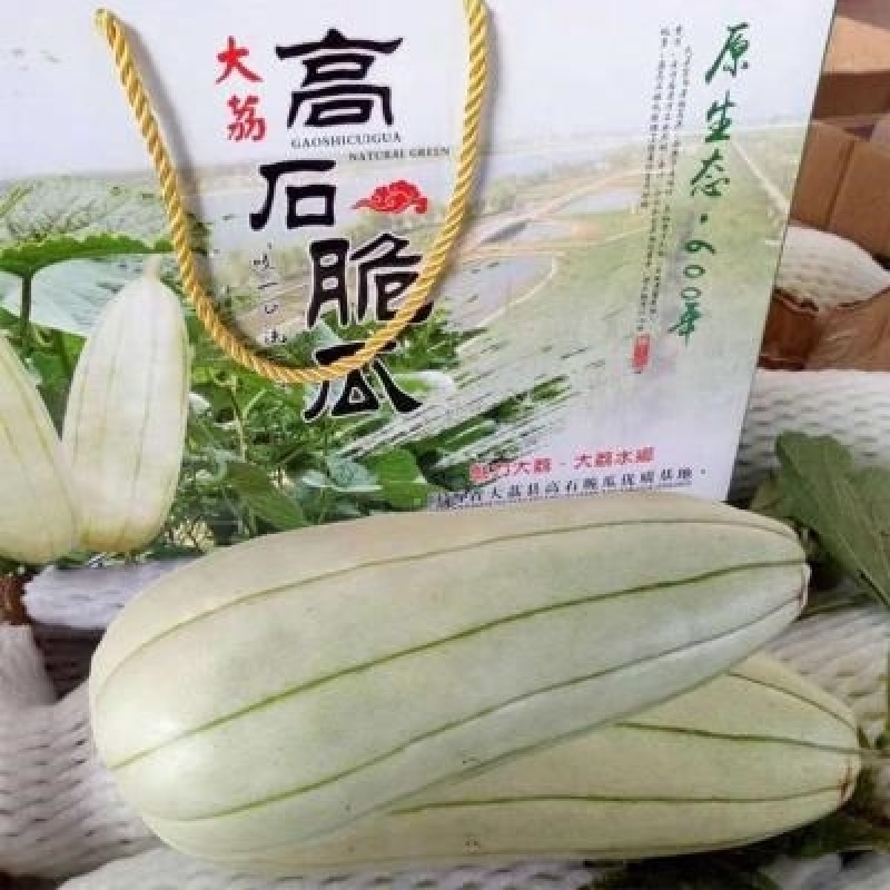 高石脆瓜