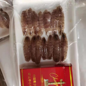 熟冻爬虾肉