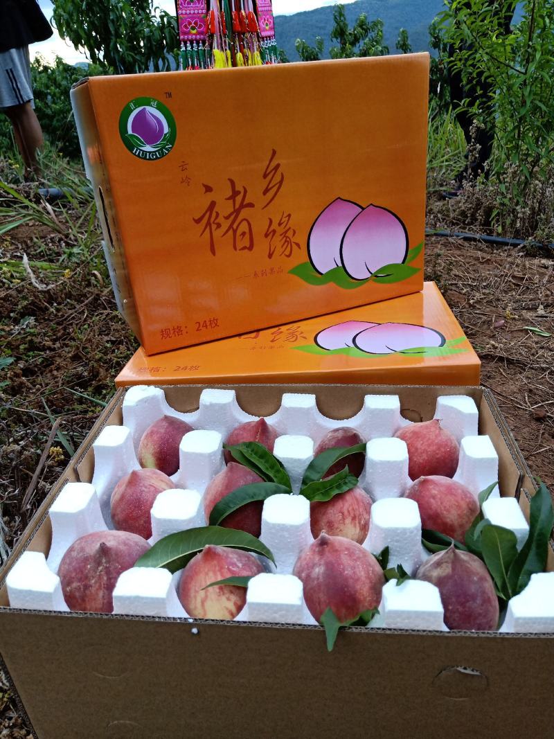 桃子红宝石毛桃红桃
