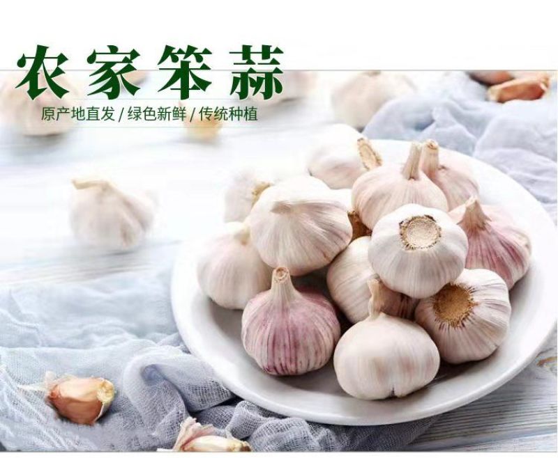 【新干蒜紫白皮】产地直干蒜大蒜头大蒜种子蒜头多规格包邮