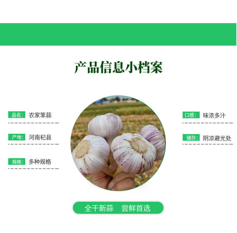 【新干蒜紫白皮】产地直干蒜大蒜头大蒜种子蒜头多规格包邮