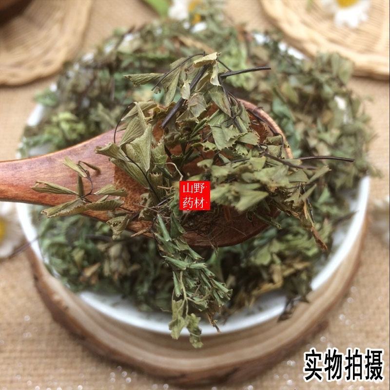 云南中药材猪鬃草铁线，草铁丝草。