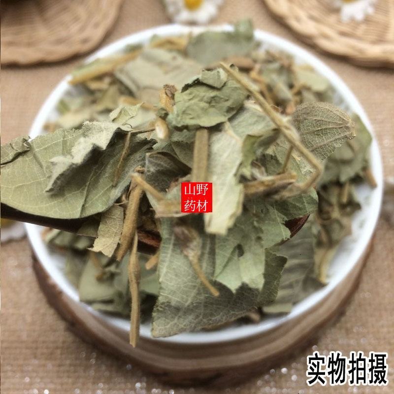 云南中药材金钱草，大叶金钱草，过路黄。