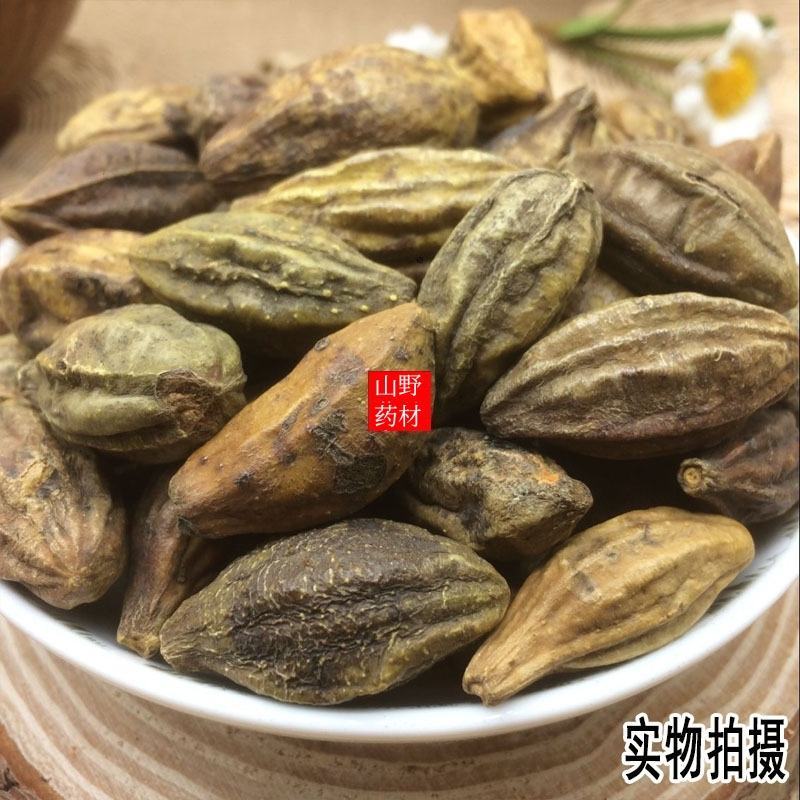 云南中药材诃子柯子呵子随风子可磨粉。