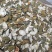云南中药材青皮四花青皮小青皮青橘皮500g包邮