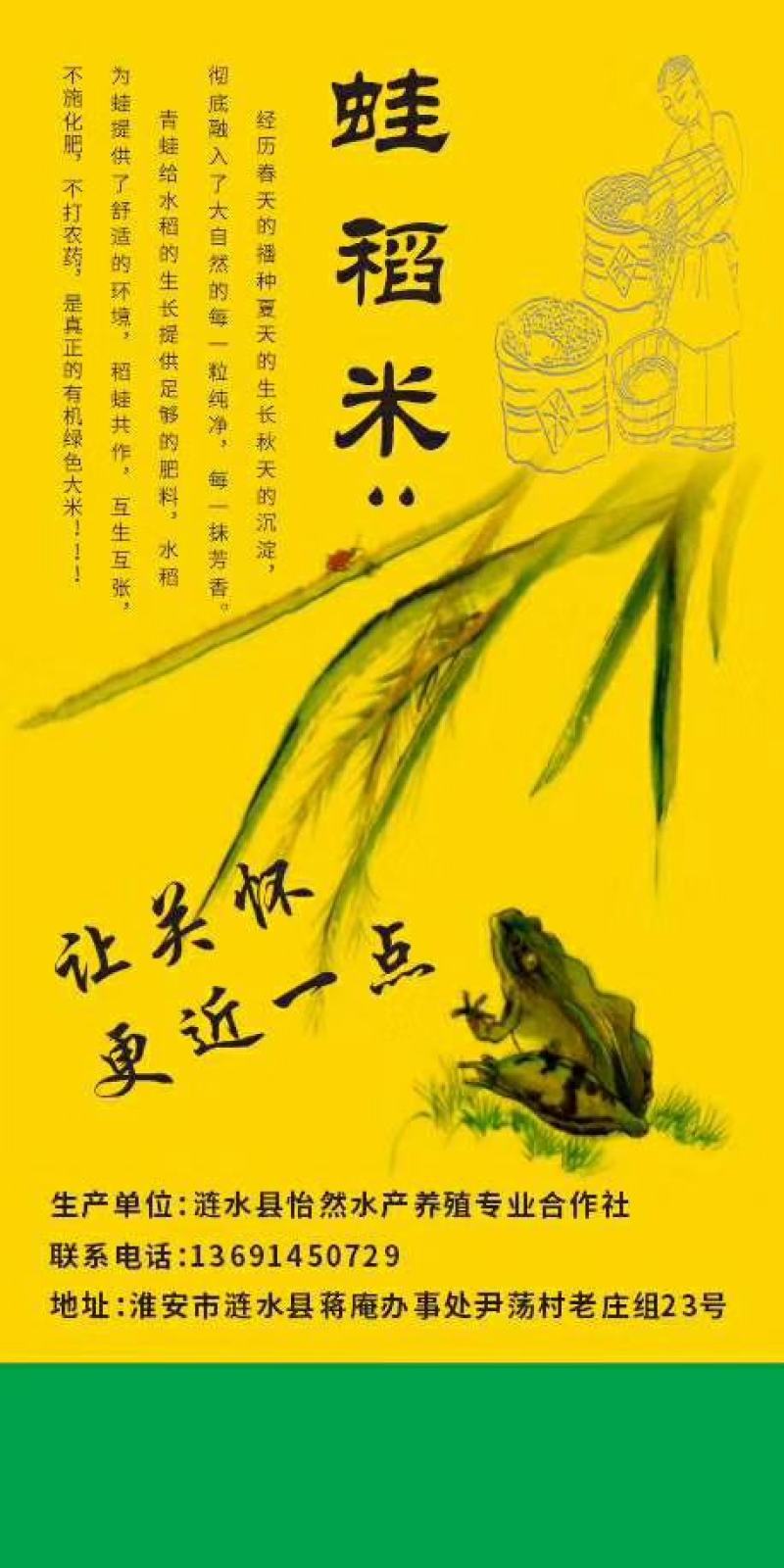 蛙稻米