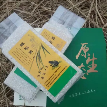 蛙稻米