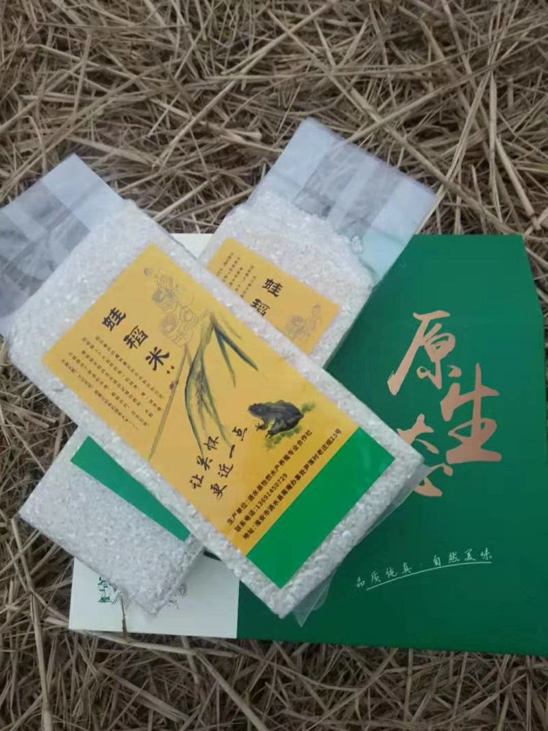 蛙稻米