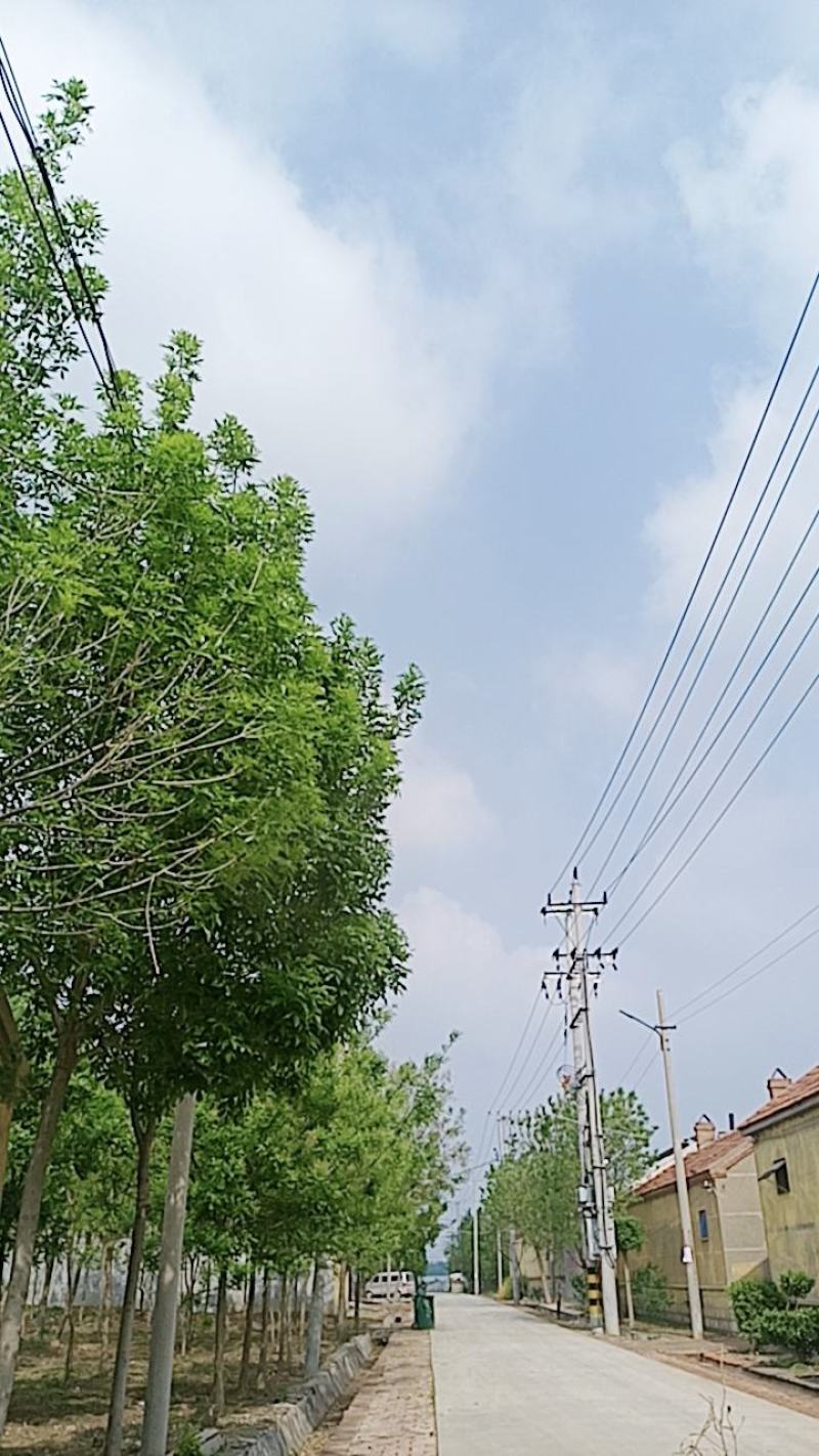 荒地